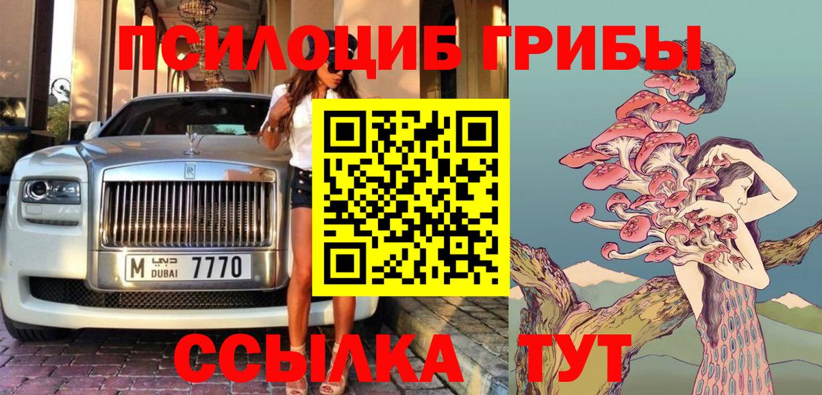 Псилоцибиновые грибы мицелий Североморск