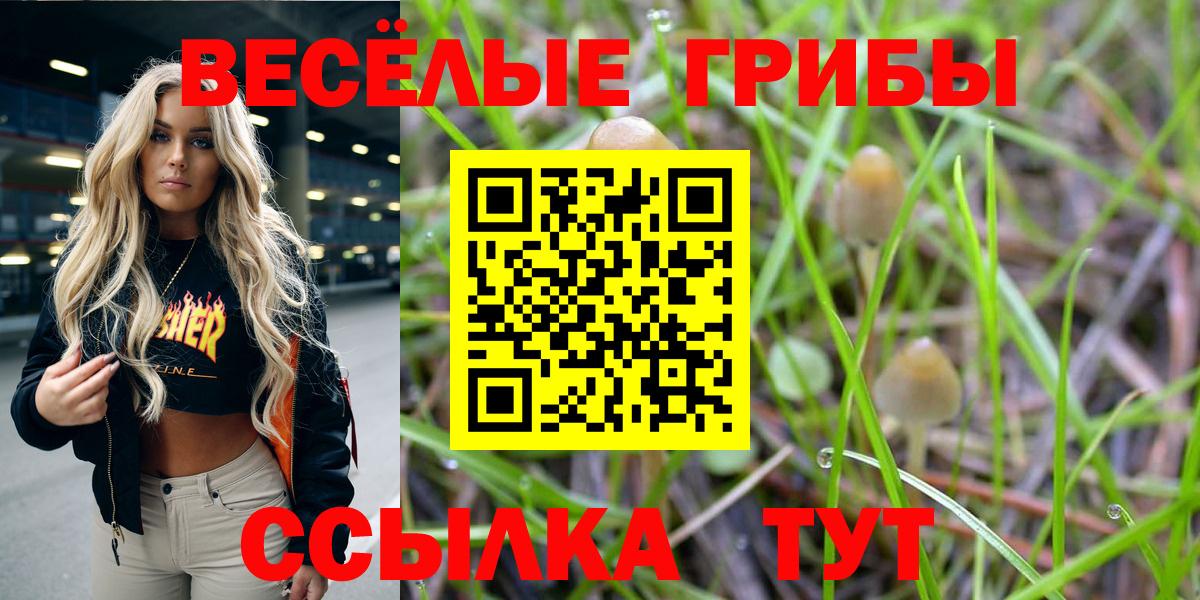 Псилоцибиновые грибы Cubensis  Псилоцибиновые грибы Cubensis  Североморск  Вход с VPN 